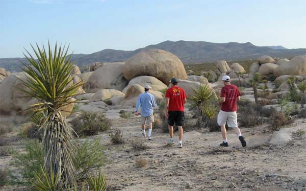 Walking in Joshua Tree