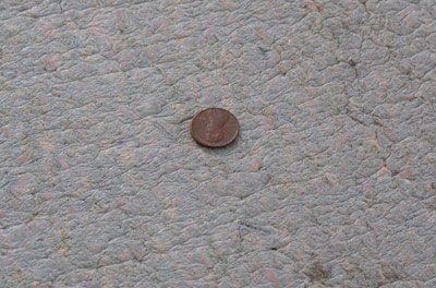 penny under carpet
